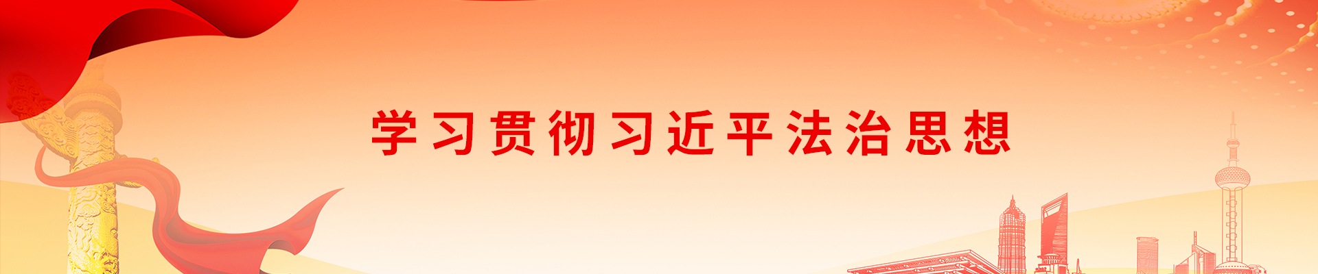 习近平法治思想